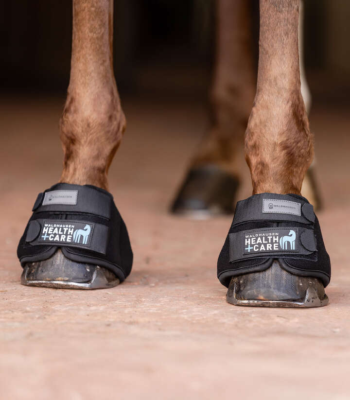 WALDHAUSEN Health + Care Kühlhufglocken